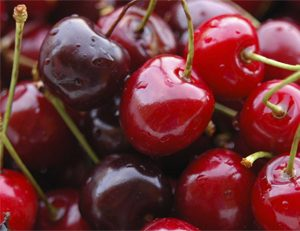 Fresh Cherries